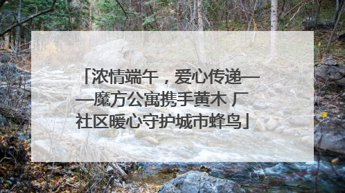 浓情端午，爱心传递——魔方公寓携手黄木 厂社区暖心守护城市蜂鸟