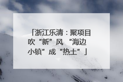 浙江乐清：聚项目吹“新”风 “海边小镇”成“热土”