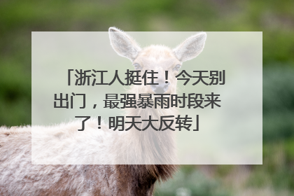 浙江人挺住！今天别出门，最强暴雨时段来了！明天大反转