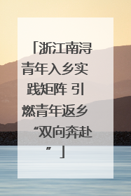 浙江南浔青年入乡实践矩阵 引燃青年返乡“双向奔赴”