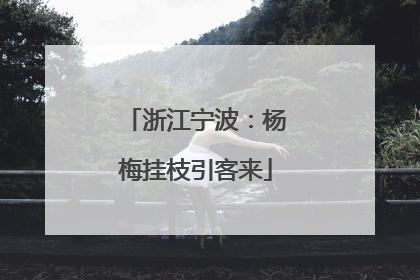 浙江宁波：杨梅挂枝引客来