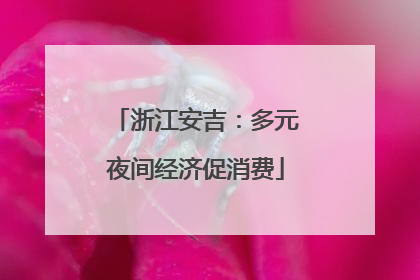 浙江安吉：多元夜间经济促消费
