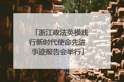 浙江政法英模践行新时代使命先进事迹报告会举行