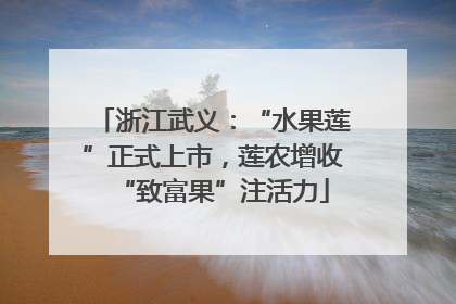 浙江武义：“水果莲”正式上市，莲农增收“致富果”注活力