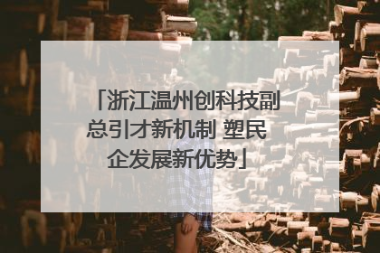 浙江温州创科技副总引才新机制 塑民企发展新优势