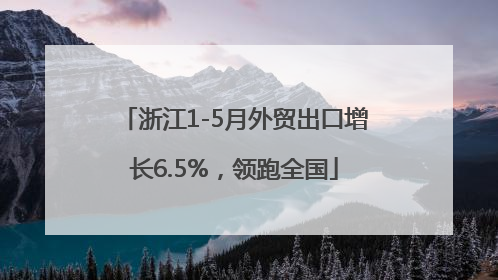 浙江1-5月外贸出口增长6.5%，领跑全国