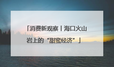 消费新观察丨海口火山岩上的“甜蜜经济”