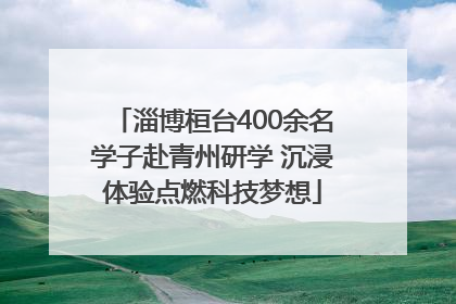 淄博桓台400余名学子赴青州研学 沉浸体验点燃科技梦想