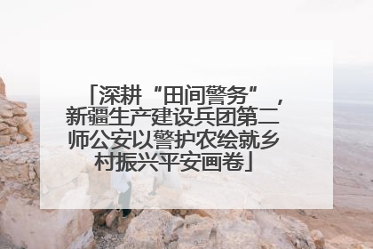 深耕“田间警务”，新疆生产建设兵团第二师公安以警护农绘就乡村振兴平安画卷