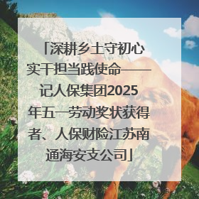 深耕乡土守初心 实干担当践使命——记人保集团2025年五一劳动奖状获得者、人保财险江苏南通海安支公司