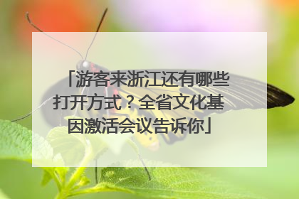游客来浙江还有哪些打开方式？全省文化基因激活会议告诉你