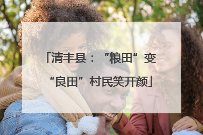 清丰县：“粮田”变“良田”村民笑开颜