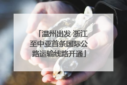 温州出发 浙江至中亚首条国际公路运输线路开通
