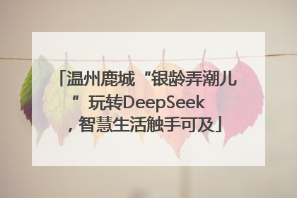 温州鹿城“银龄弄潮儿”玩转DeepSeek，智慧生活触手可及
