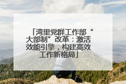 湾里党群工作部“大部制”改革：激活效能引擎，构建高效工作新格局