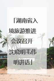 湖南省入境旅游推进会议召开 沈晓明毛伟明讲话