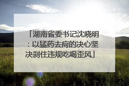 湖南省委书记沈晓明：以猛药去疴的决心坚决刹住违规吃喝歪风