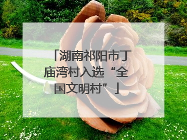 湖南祁阳市丁庙湾村入选“全国文明村”