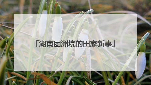 湖南团洲垸的田家新事