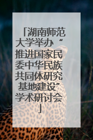 湖南师范大学举办“推进国家民委中华民族共同体研究基地建设”学术研讨会