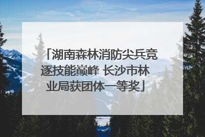湖南森林消防尖兵竞逐技能巅峰 长沙市林业局获团体一等奖
