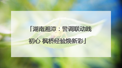 湖南湘潭：警调联动践初心 枫桥经验焕新彩