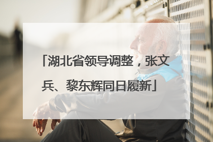湖北省领导调整，张文兵、黎东辉同日履新