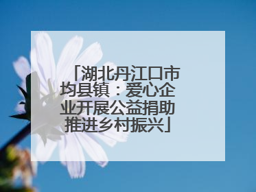 湖北丹江口市均县镇：爱心企业开展公益捐助推进乡村振兴