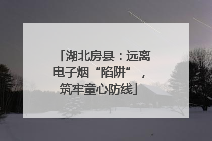 湖北房县：远离电子烟“陷阱”，筑牢童心防线