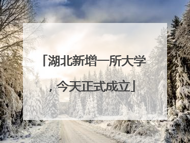 湖北新增一所大学，今天正式成立