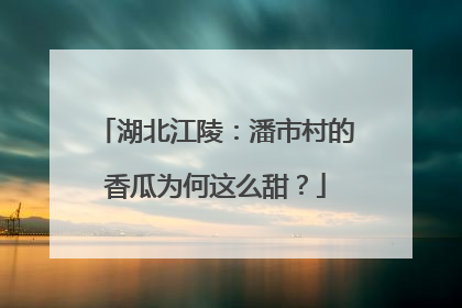 湖北江陵：潘市村的香瓜为何这么甜？