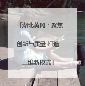湖北黄冈：聚焦创新与质量 打造三维新模式