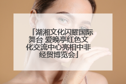 湖湘文化闪耀国际舞台 爱晚亭红色文化交流中心亮相中非经贸博览会