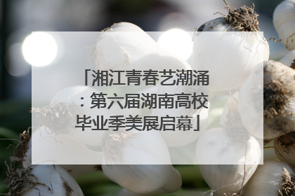 湘江青春艺潮涌：第六届湖南高校毕业季美展启幕