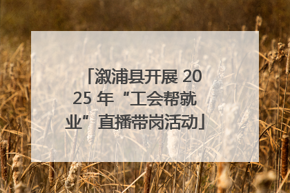 溆浦县开展 2025 年“工会帮就业”直播带岗活动
