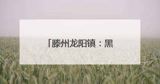 滕州龙阳镇：黑土豆产业铺就乡村振兴致富路