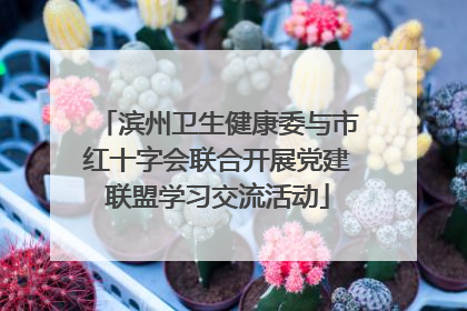 滨州卫生健康委与市红十字会联合开展党建联盟学习交流活动