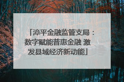 漳平金融监管支局：数字赋能普惠金融 激发县域经济新动能
