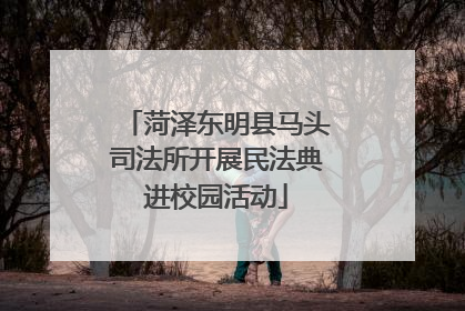 菏泽东明县马头司法所开展民法典进校园活动