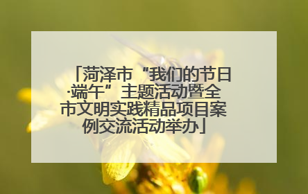菏泽市“我们的节日·端午”主题活动暨全市文明实践精品项目案例交流活动举办