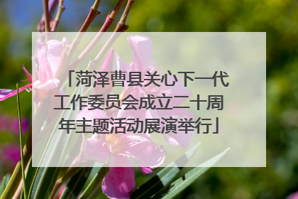 菏泽曹县关心下一代工作委员会成立二十周年主题活动展演举行