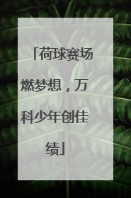荷球赛场燃梦想，万科少年创佳绩