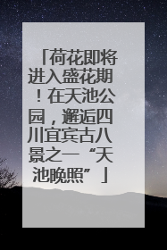 荷花即将进入盛花期！在天池公园，邂逅四川宜宾古八景之一“天池晚照”