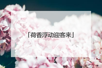 荷香浮动迎客来