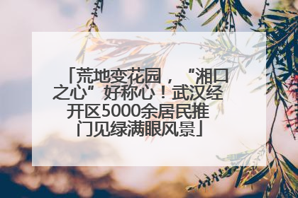 荒地变花园，“湘口之心”好称心！武汉经开区5000余居民推门见绿满眼风景