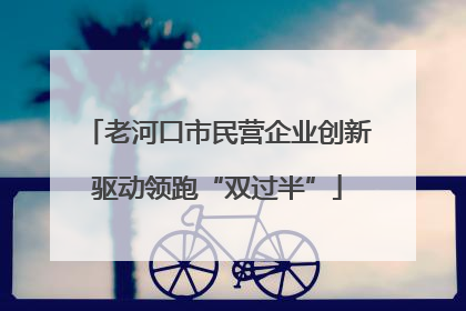 老河口市民营企业创新驱动领跑“双过半”