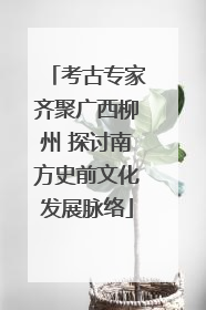 考古专家齐聚广西柳州 探讨南方史前文化发展脉络