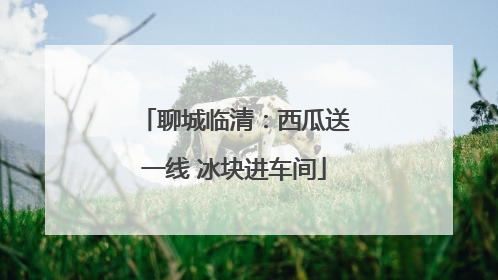 聊城临清：西瓜送一线 冰块进车间