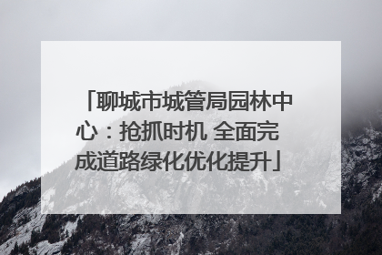 聊城市城管局园林中心：抢抓时机 全面完成道路绿化优化提升