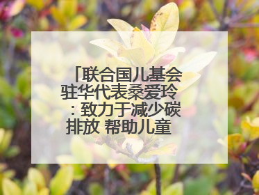 联合国儿基会驻华代表桑爱玲：致力于减少碳排放 帮助儿童适应气候变化